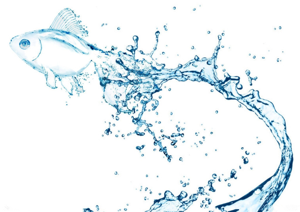 基材潤濕劑，迪高基材潤濕劑，涂料基材潤濕劑