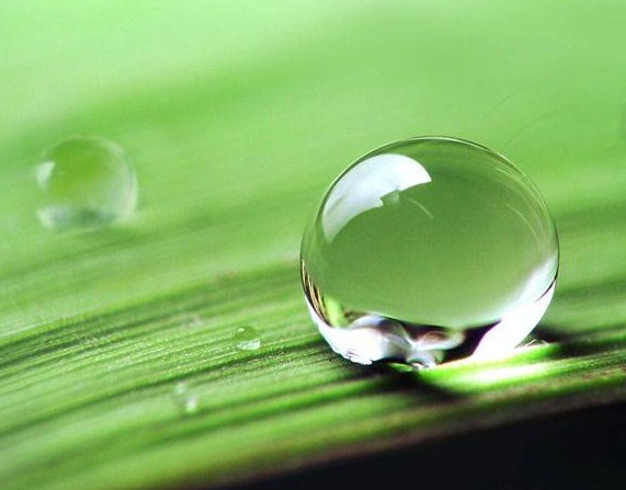 涂料潤濕劑<a href='http://www.92bbaa.com/product/product-0001,0011,0020.shtml' class='keys' title='點擊查看關(guān)于分散劑的相關(guān)信息' target='_blank'>分散劑</a>