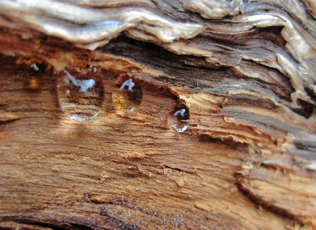 水性聚氨酯、丙烯酸樹脂