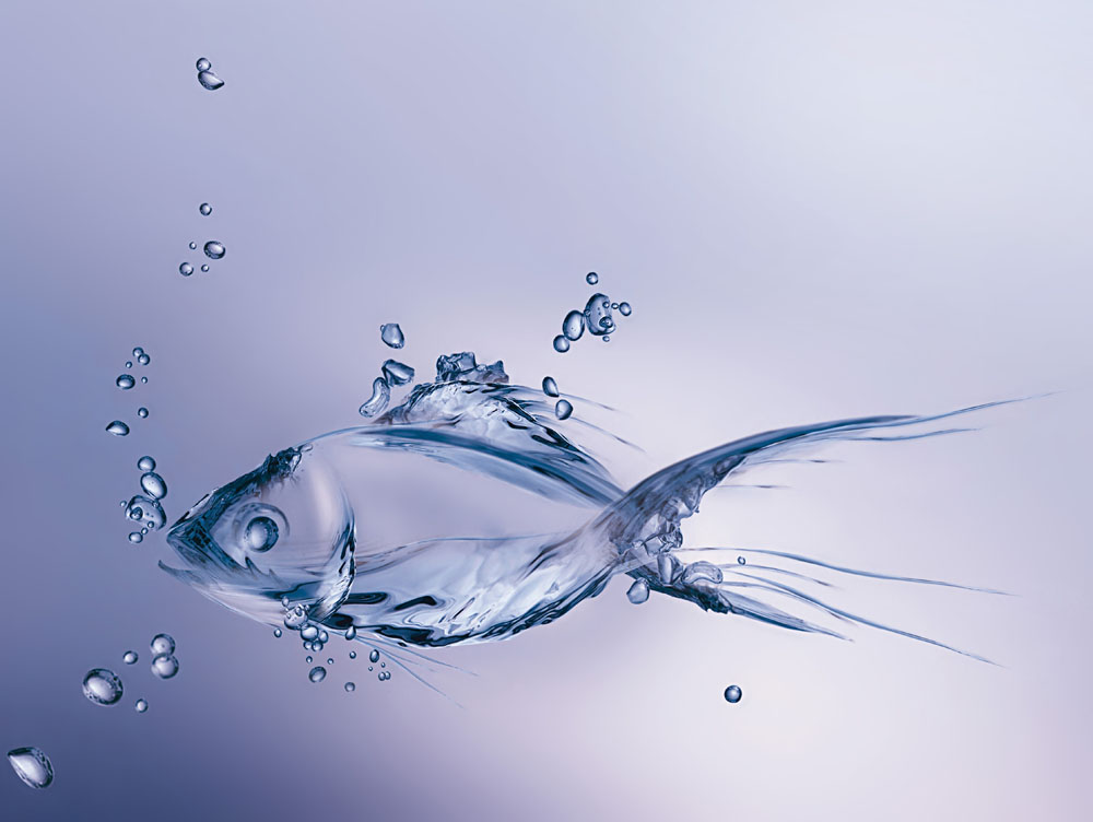 潤濕<a href='http://www.92bbaa.com/product/product-0001,0011,0020.shtml' class='keys' title='點擊查看關于分散劑的相關信息' target='_blank'>分散劑</a>