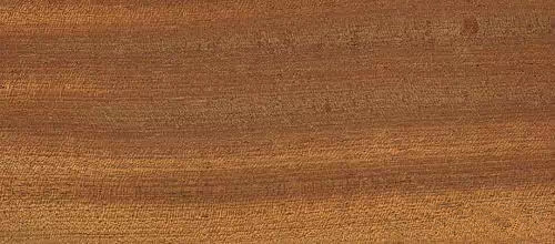 木器漆基材潤濕劑,木器漆潤濕劑,水性潤濕劑,底材潤濕劑,潤濕劑廠家,迪高潤濕劑,<a href='http://www.92bbaa.com/product/product-0001,0011,0018.shtml' class='keys' title='點(diǎn)擊查看關(guān)于潤濕劑的相關(guān)信息' target='_blank'>潤濕劑</a>批發(fā)